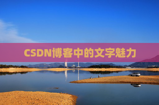 CSDN博客中的文字魅力