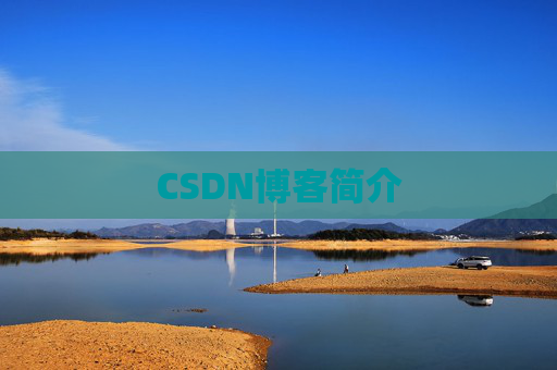 CSDN博客简介
